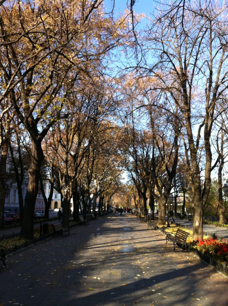 Odessa Ukrayna