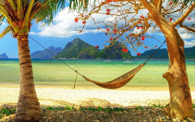 Tatile Çıkacaklara Güvenli Tatil İçin İpuçları