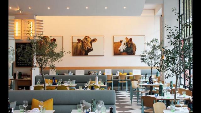 Kensington Place Londra