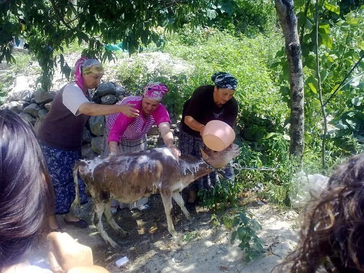 Civar köyleri ziyaret gezerken objektifime yakalanan bir an. 