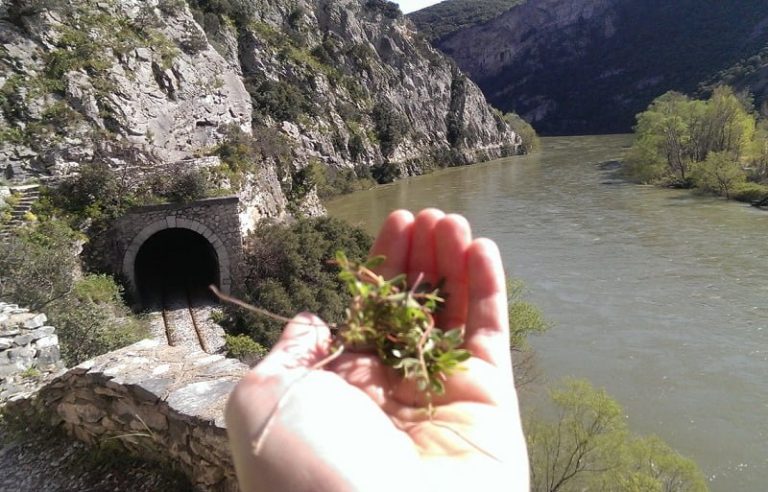 Nessos: Yunanistan’da Doğa Yürüyüşleri İçin Saklı Cennet