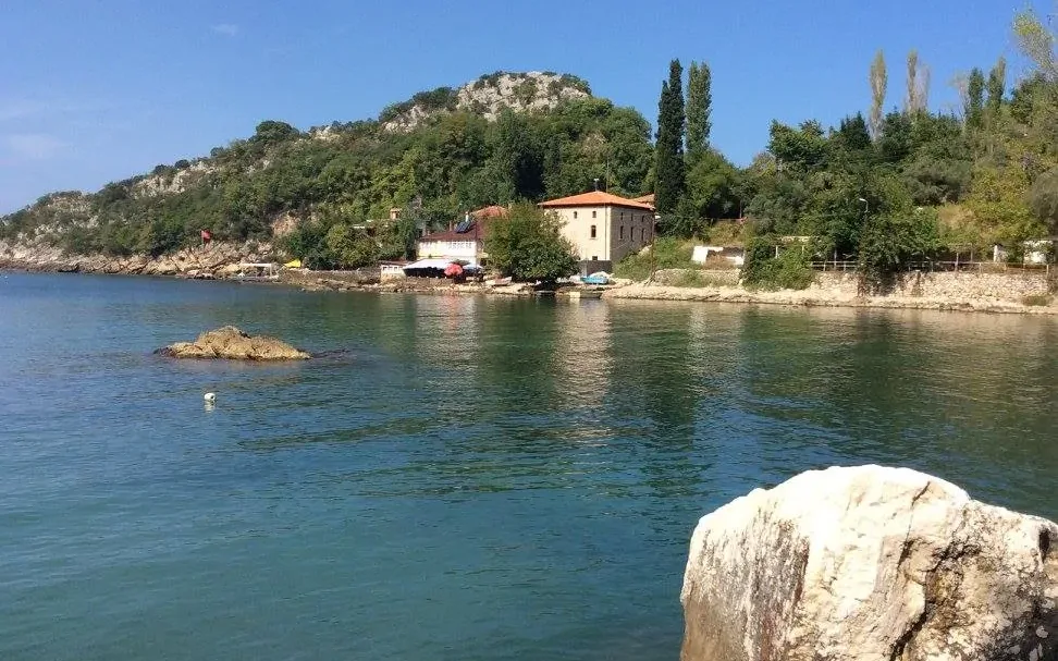 Gideros Koyu (2)