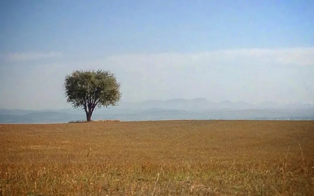 Kastamonu Yol Manzarası