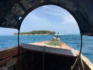 Changuu_ Adasi Zanzibar