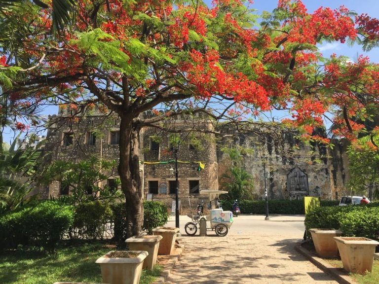 Zanzibar’a Gitmek İçin 11 Neden