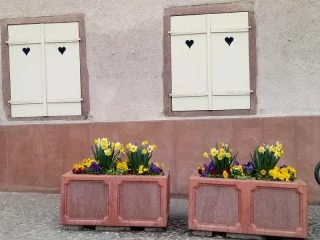 Fransa Colmar Gezi Rehberi Colmar Gezilecek Yerler kalpli ev