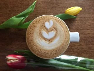 Lviv Kafe ve Kahvecileri 2