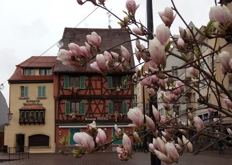 Colmar Gezi Rehberi : Fransa’da Rüya Gibi Bir Kasaba