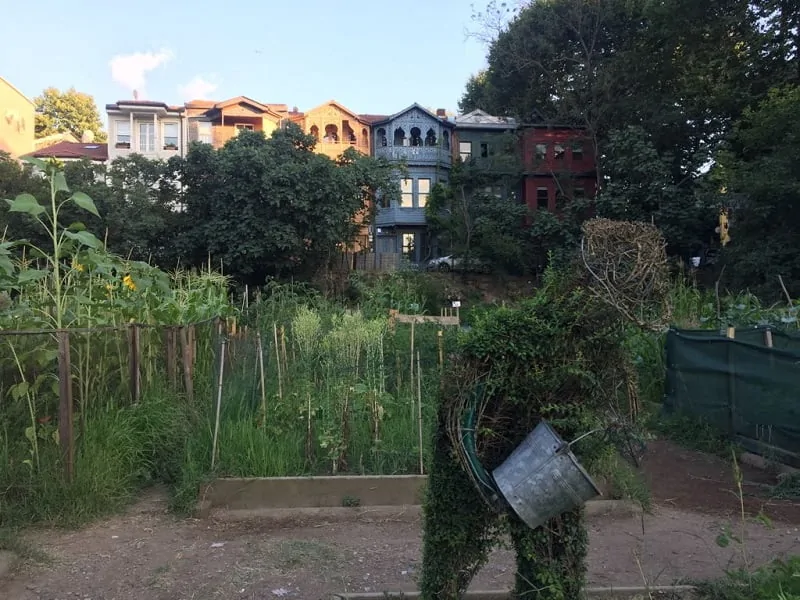 Kuzguncuk Bostanı