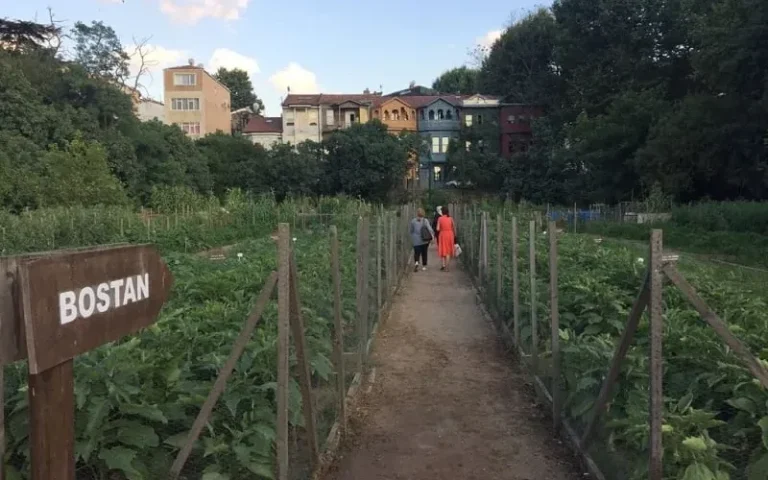 Kuzguncuk Bostanı İlya'nın Bostanı