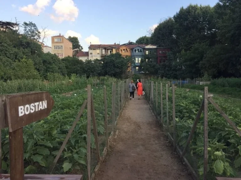 Kuzguncuk Bostanı İlya'nın Bostanı