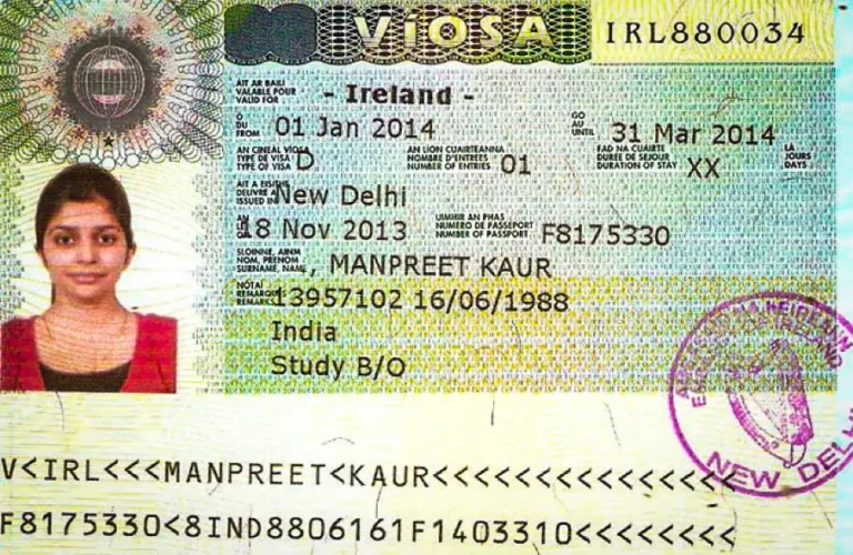 irlanda vizesi